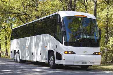 New Orleans Charter Bus