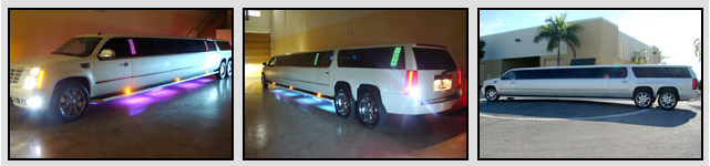 new orleans limo