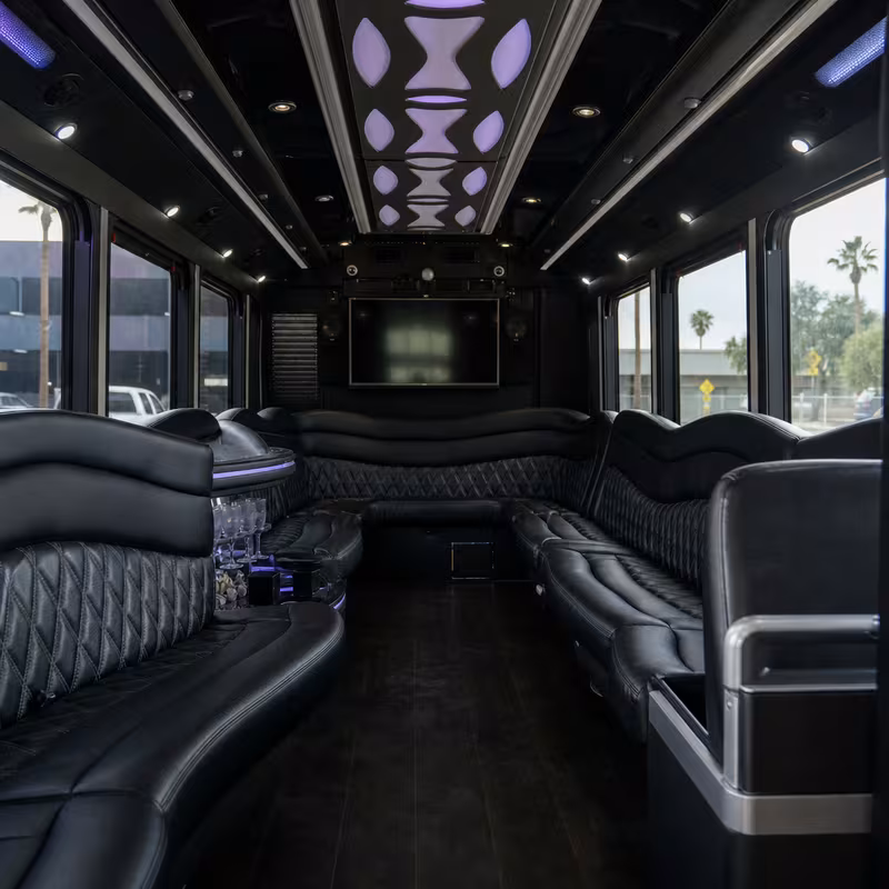 Passenger watching the New Orleans scenery during a regional party bus road trip