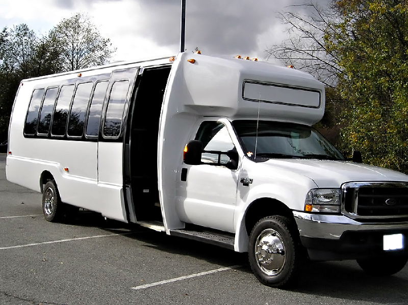 22 Passenger Party Bus